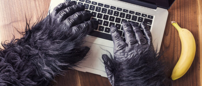 gratisography-346H-free-stock-photo-1170x780